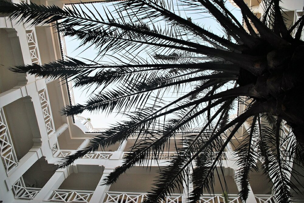 Фото Dar L'Oussia