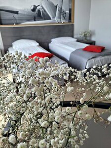 Гостиница Hotel Forza