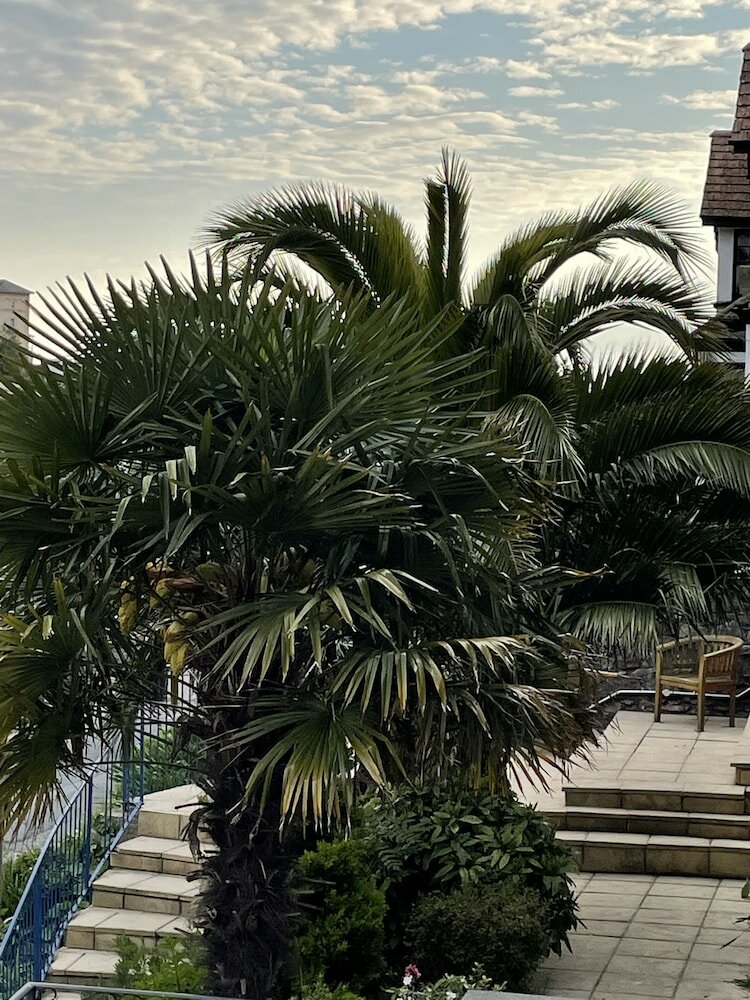 Фото Hotel Hudson