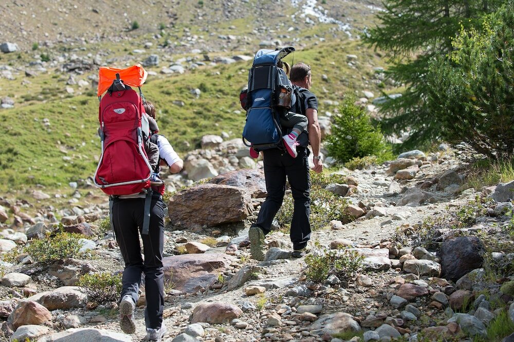 Фото Hotel Vedig