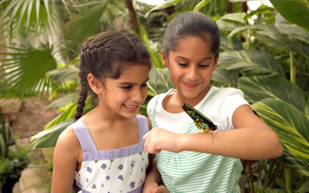 Фото Holiday Inn Niagara Falls - by The Falls