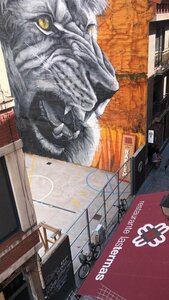 Гостевой дом Hostal Albany