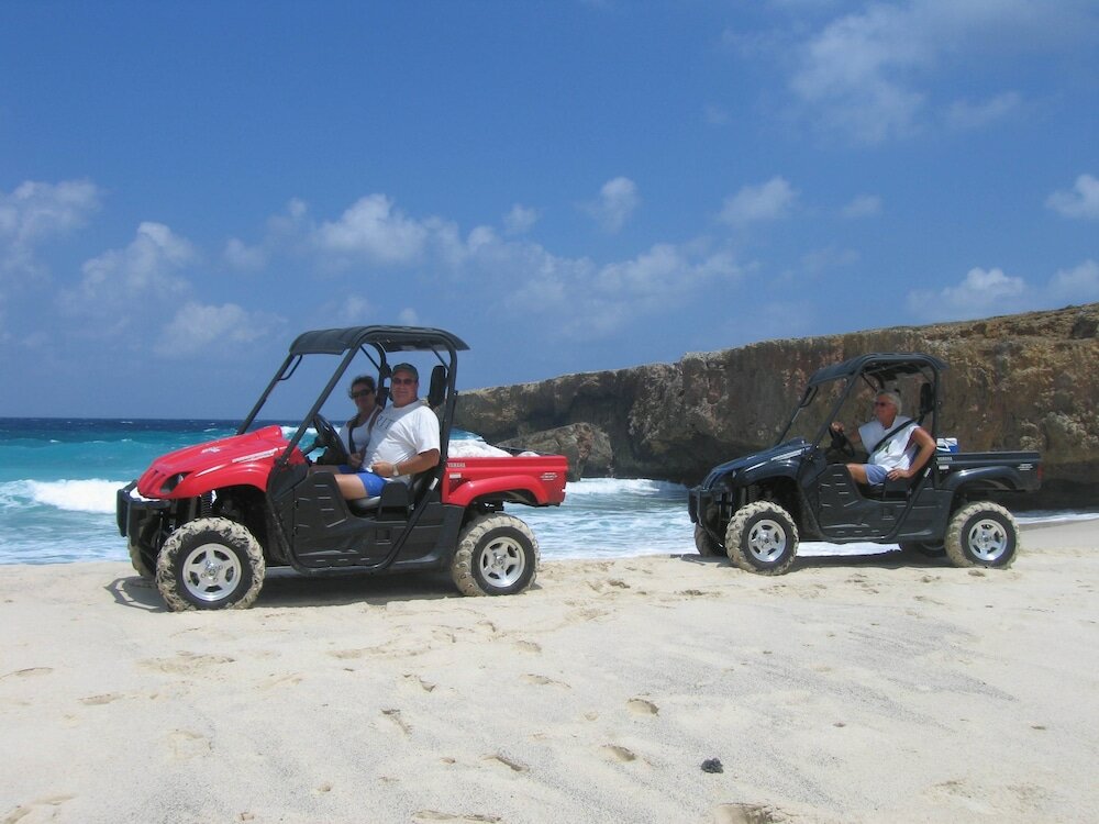 Фото Driftwood Gardens