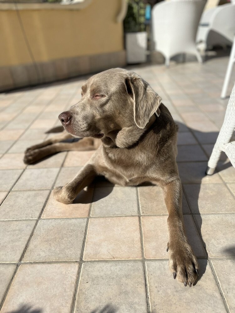 Фото Barocchetto Romano