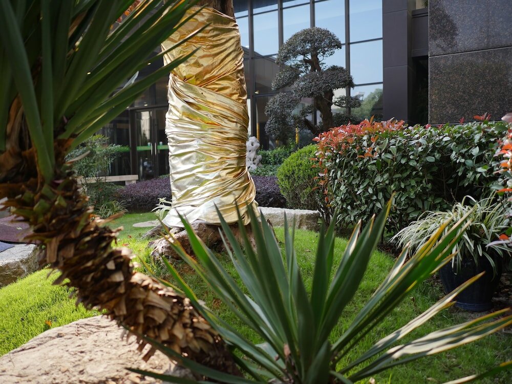 Фото New Knight Royal Hotel Shanghai Pudong Airport Avenue