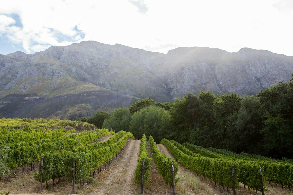 Фото Maison Montagne