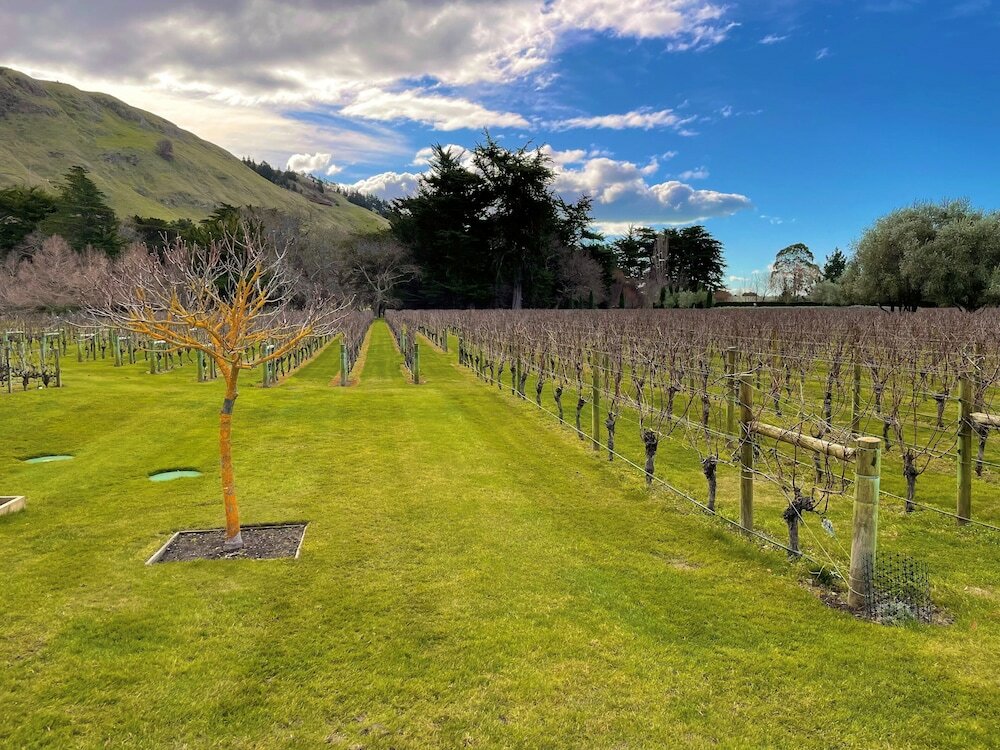 Фото Swiss-Belhotel Napier