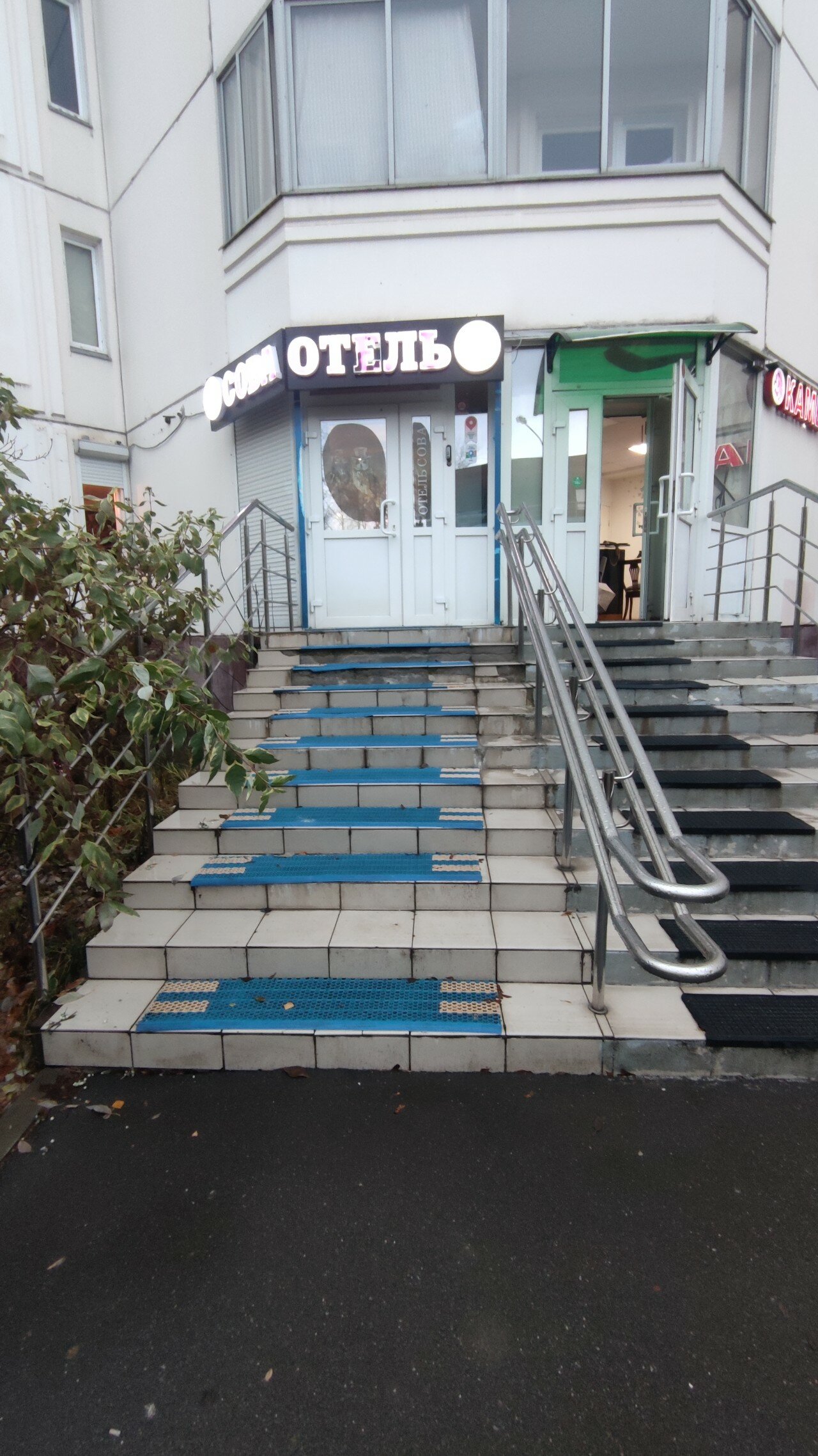 Фото Сова на Планерной