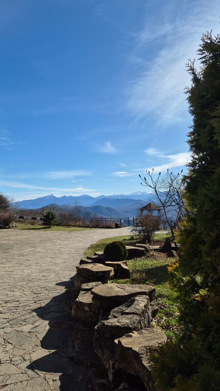 марина афанасьева