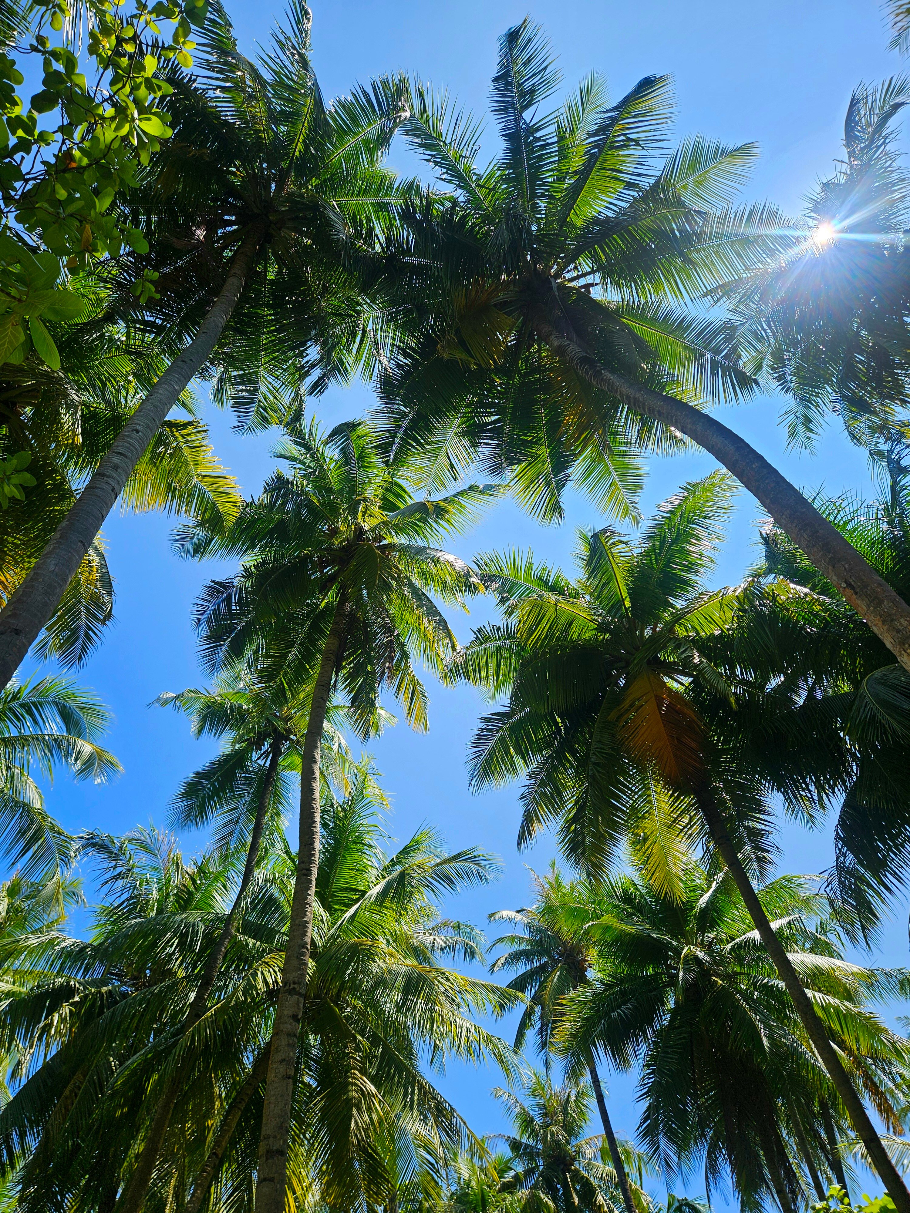 Фото Village Hideaways & Spas