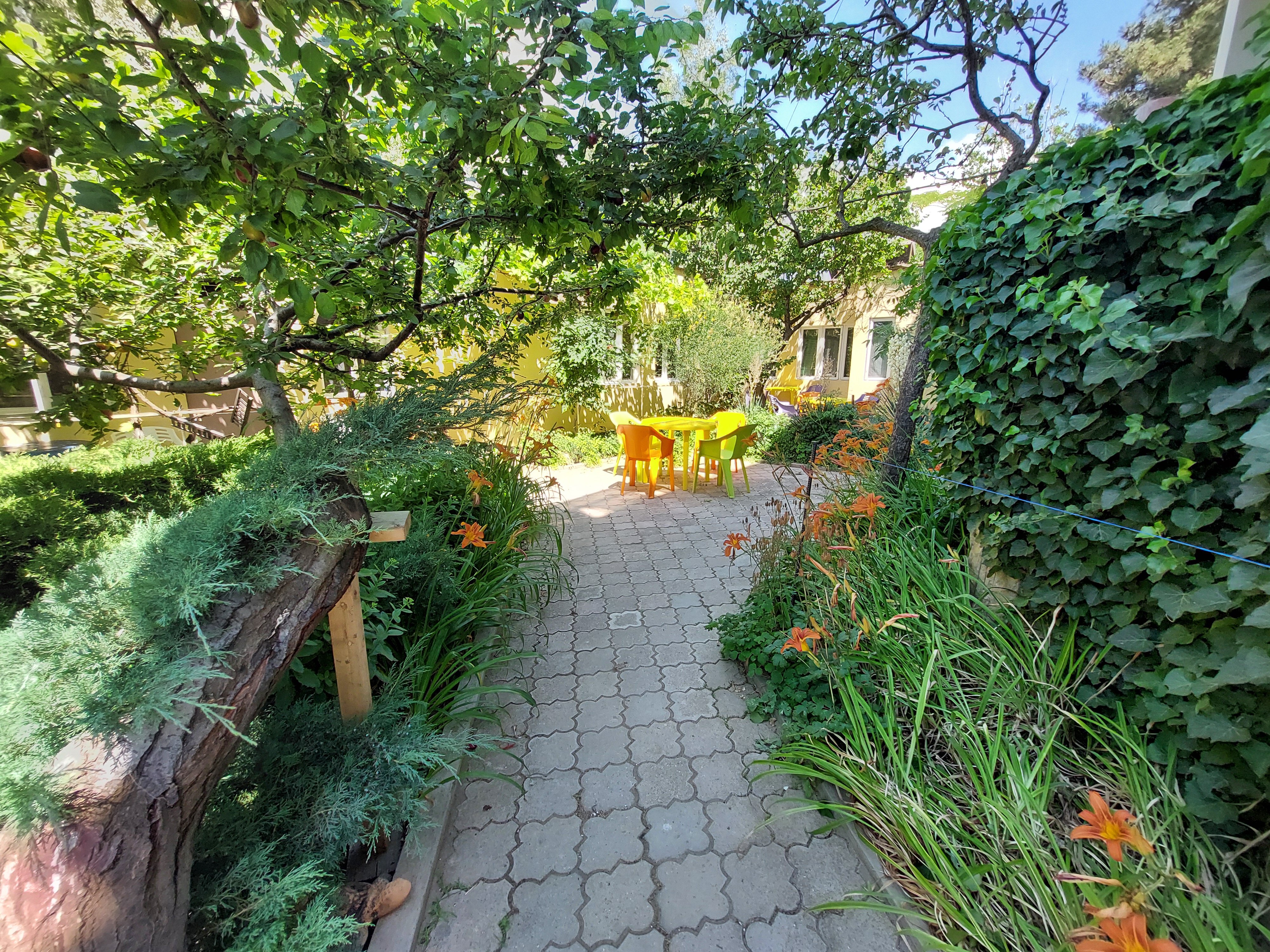 Фото Летний