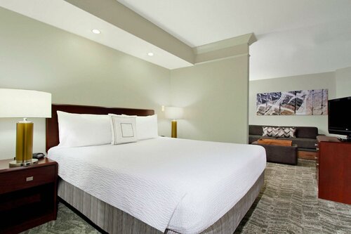 Гостиница SpringHill Suites by Marriott Chesapeake Greenbrier