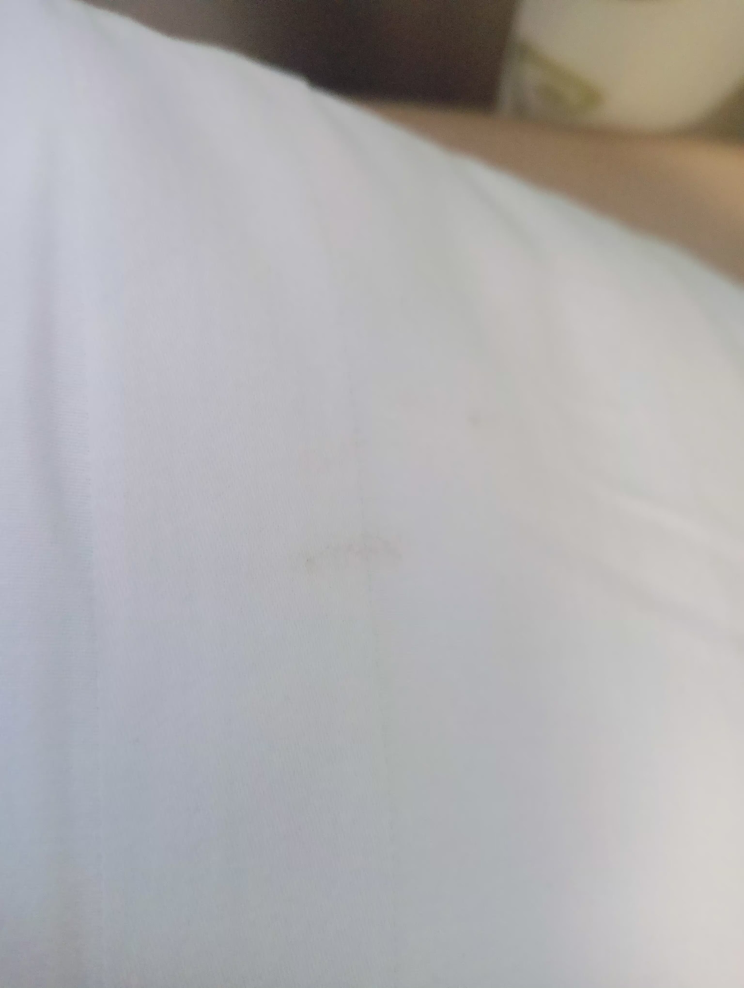 Фото Отель 54