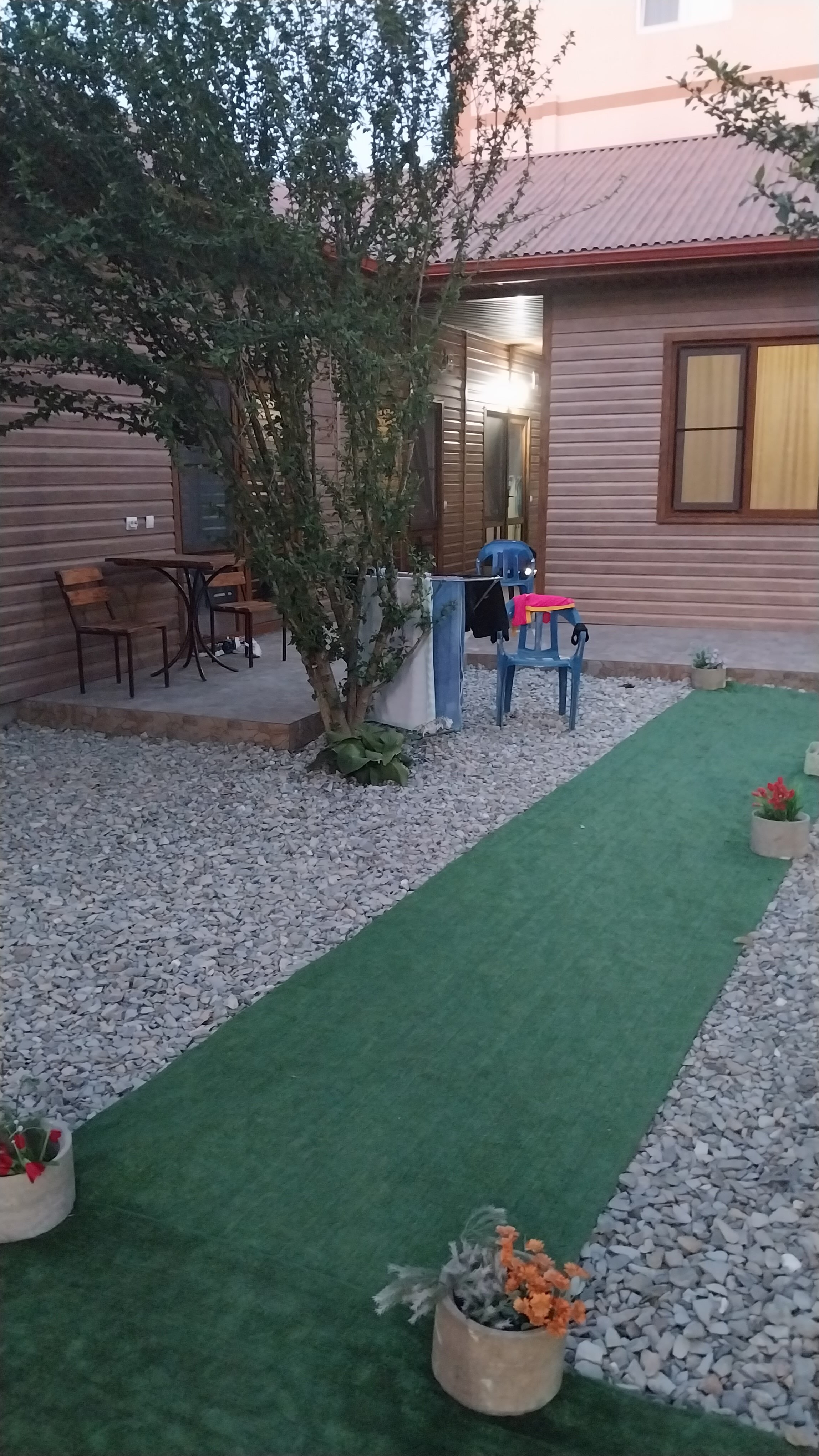 Фото Дружба