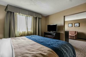 Гостиница Comfort Inn & Suites Crystal Inn Sportsplex