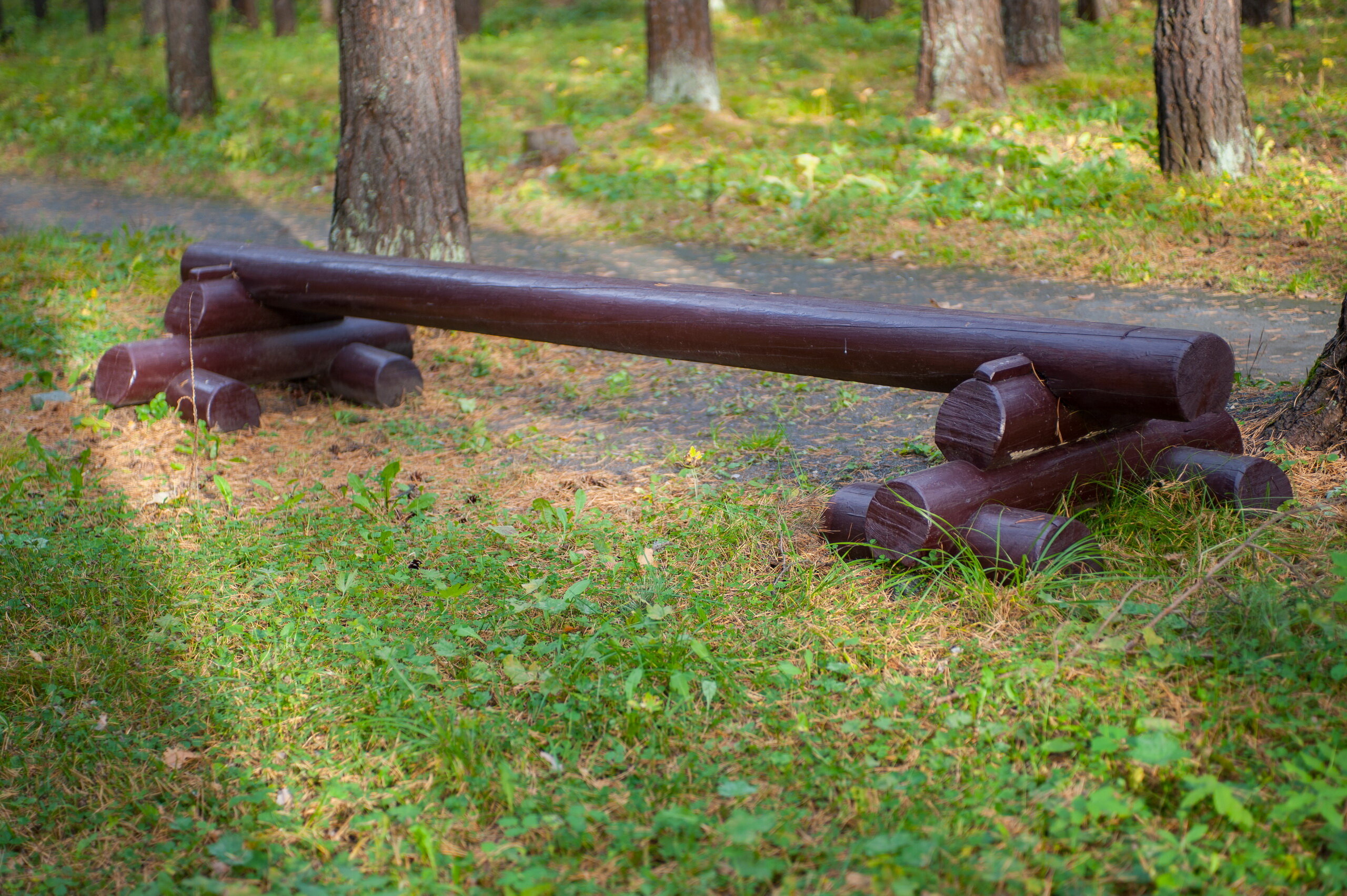 Фото Санаторий-профилакторий Дюжонок