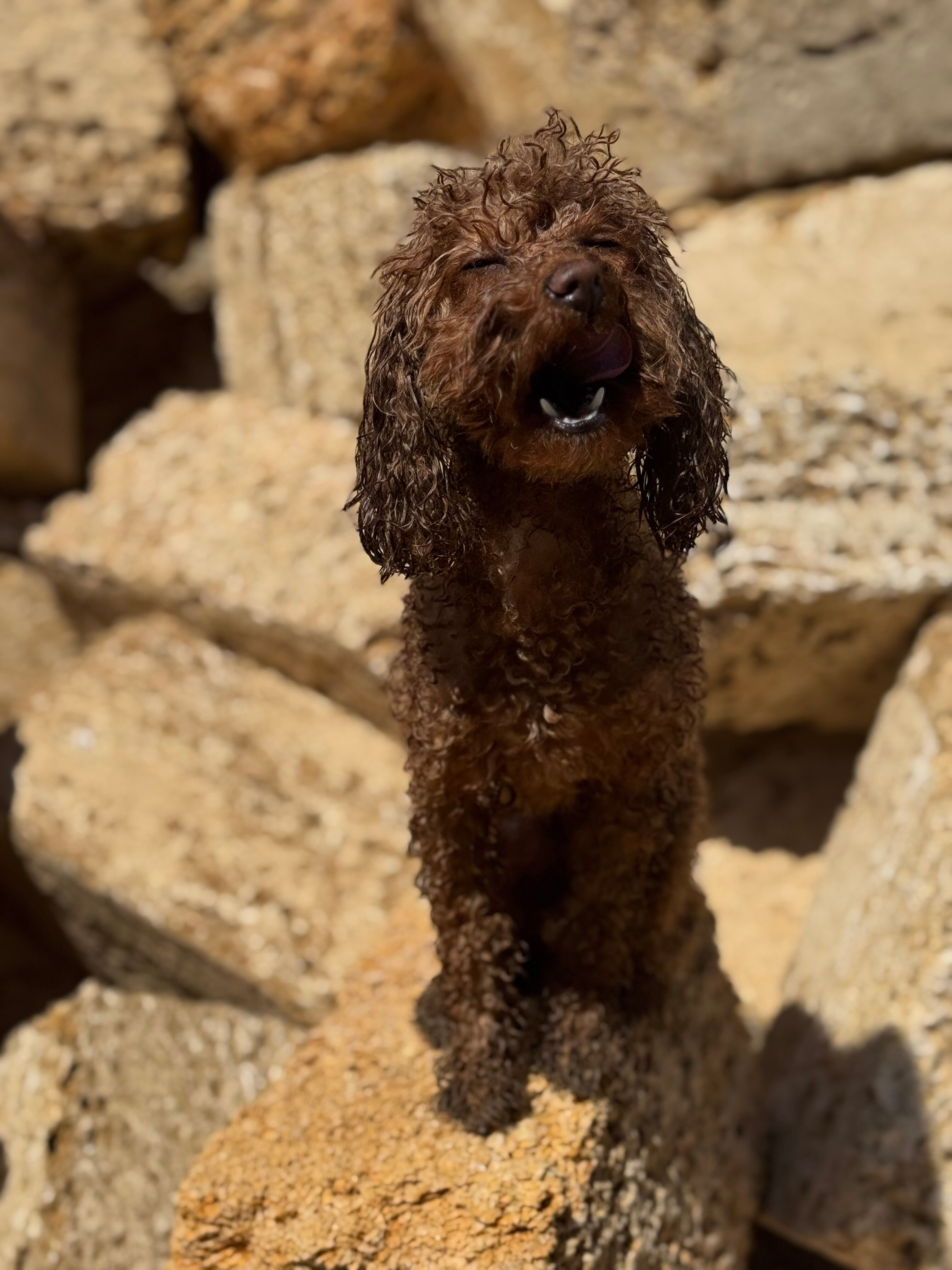 Фото Зона Комфорта