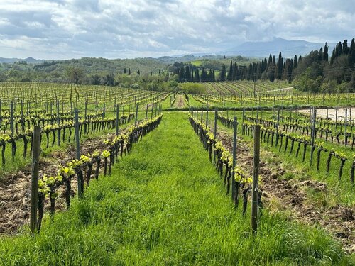 Внешний вид отеля Precise Tale Poggio Alla Sala в Монтепульчано, фото 4