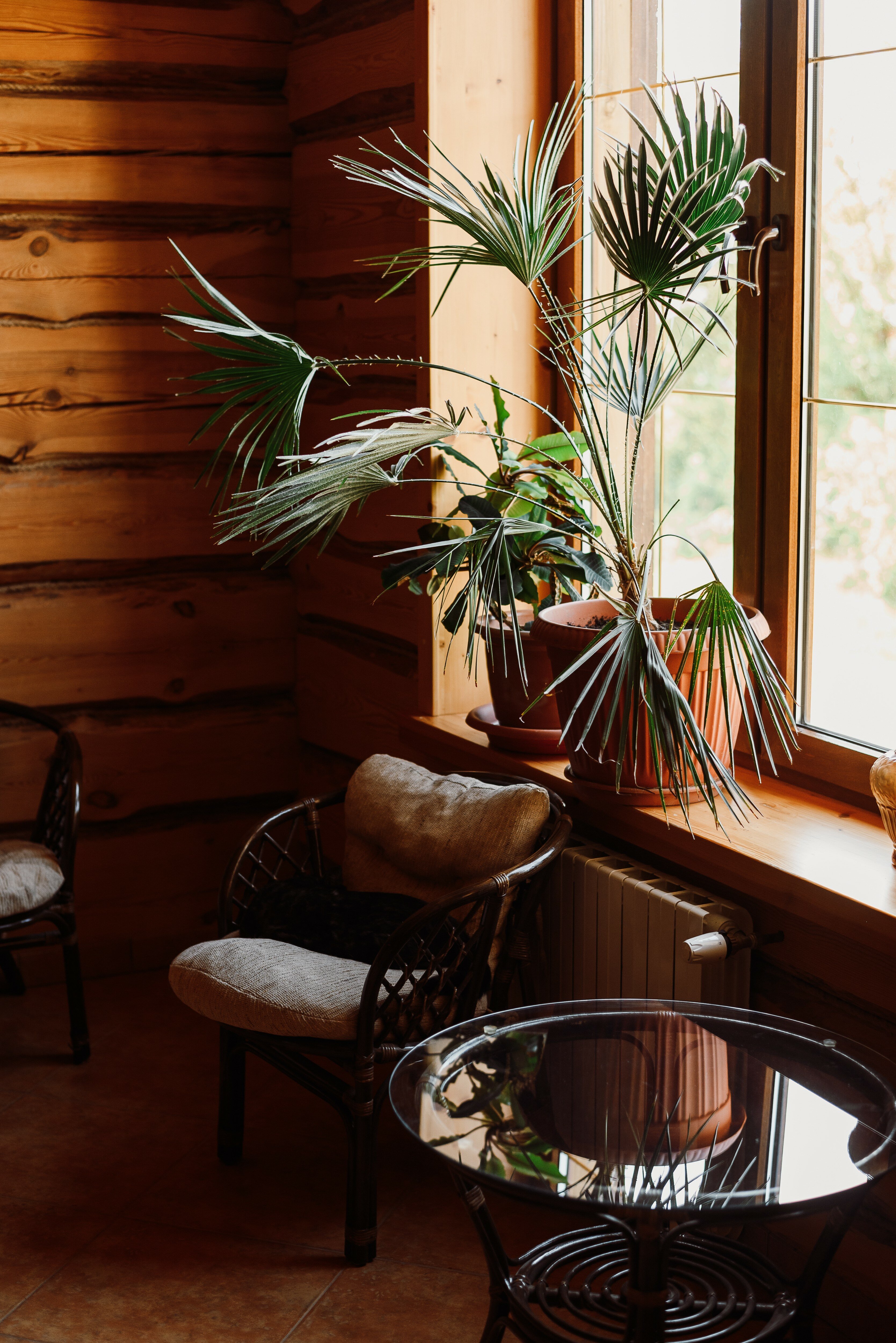 Фото Алексеевская Усадьба