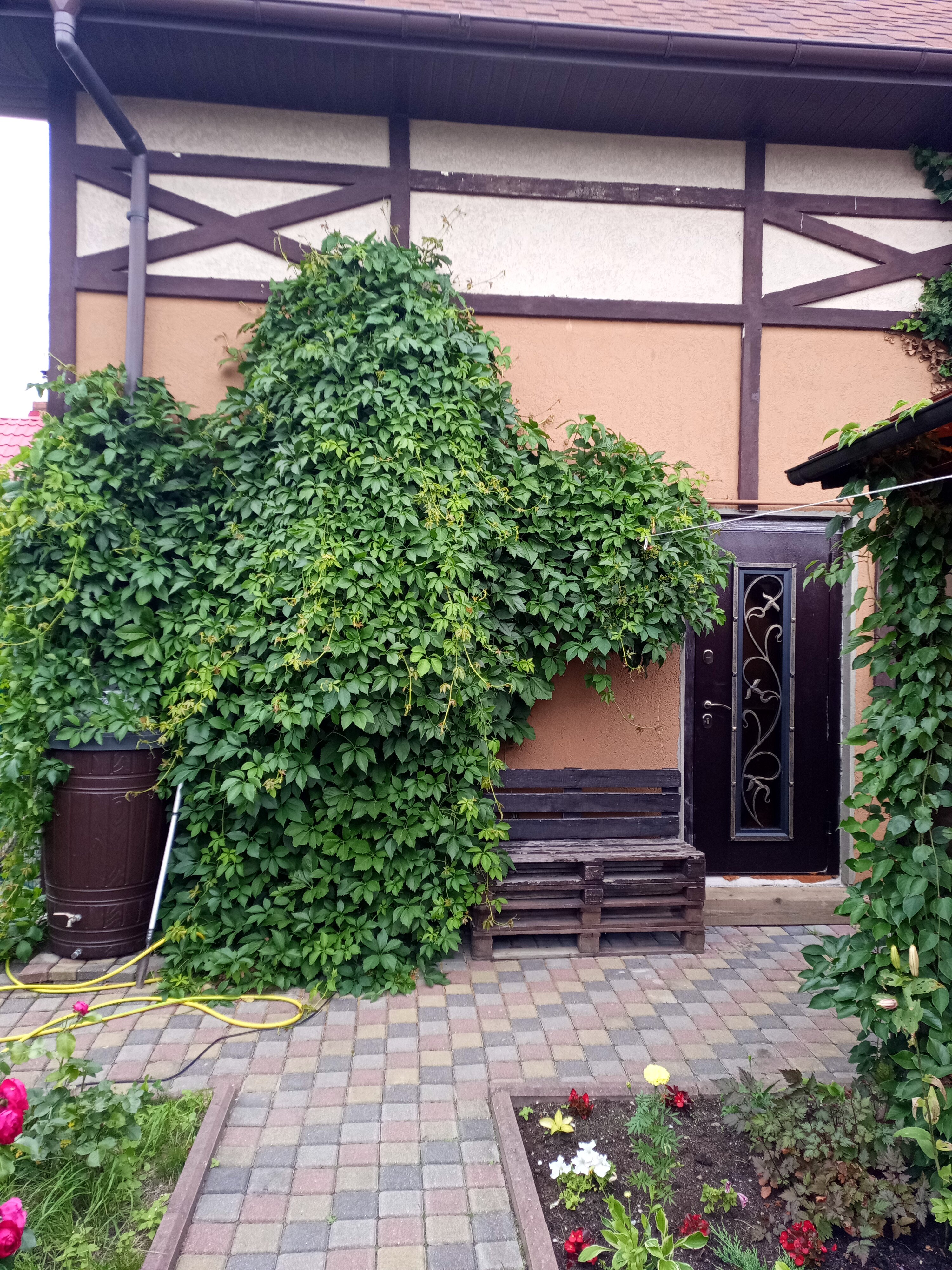 Фото Вилла Тобиас