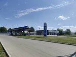 Экойл (Kosmonavta Leonova Street, 57к1) ، محطة وقود