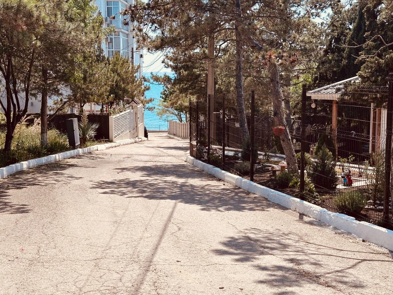 Фото Star Resort