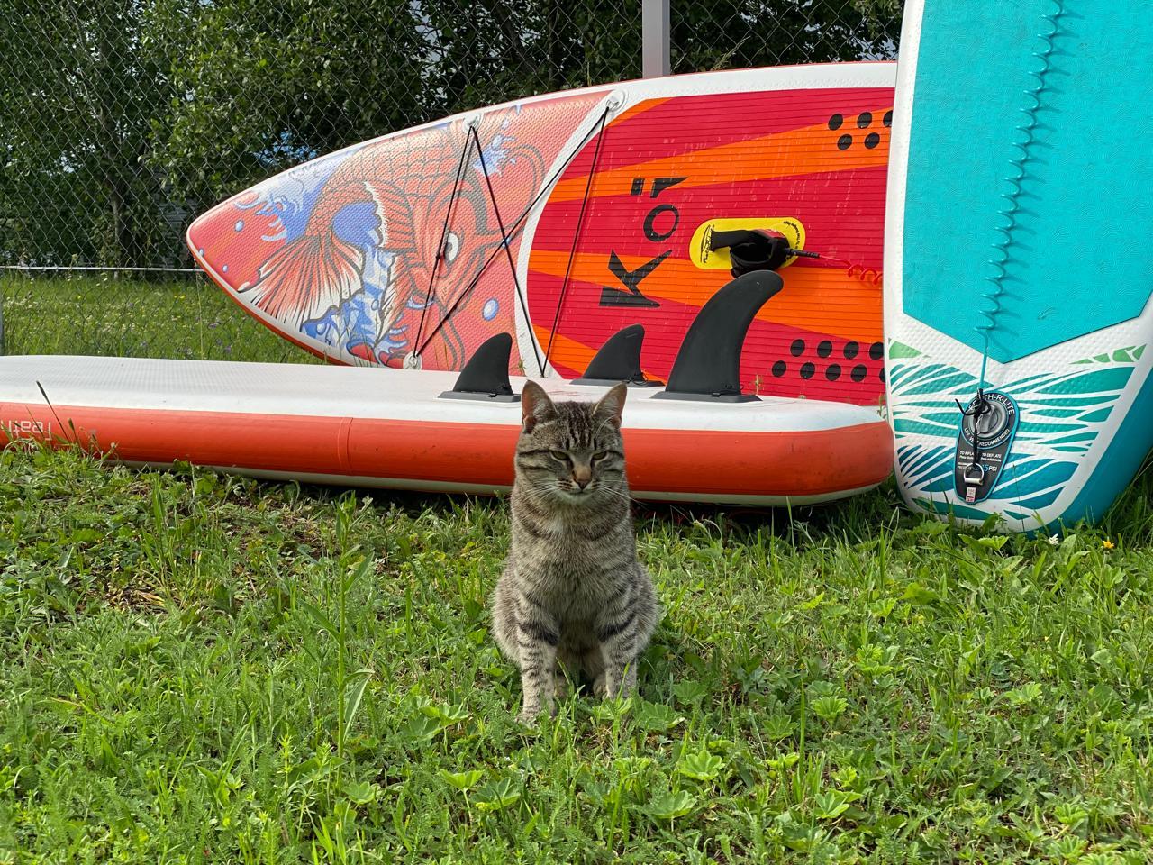 Фото Прибрежный