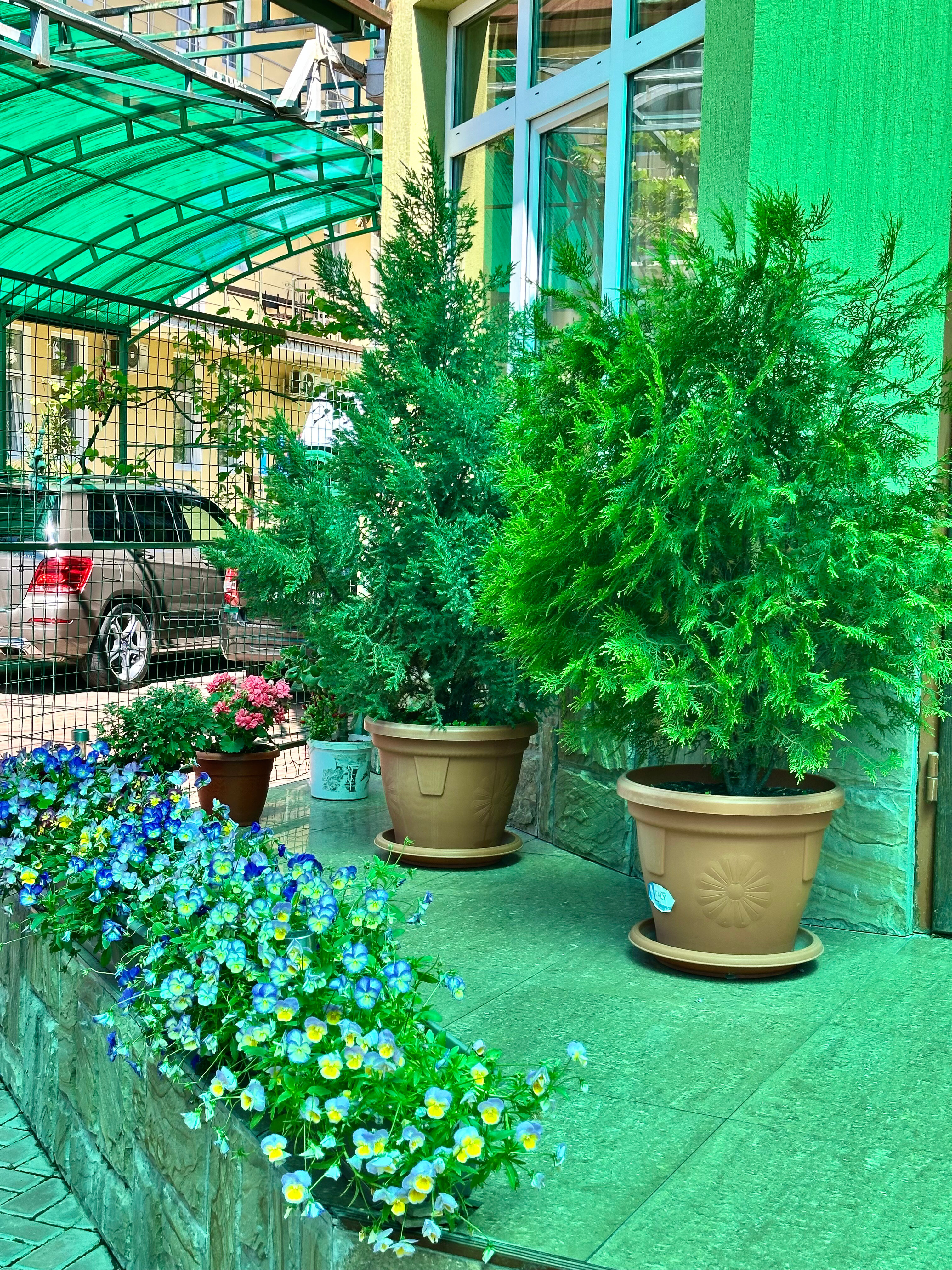 Фото Оливия