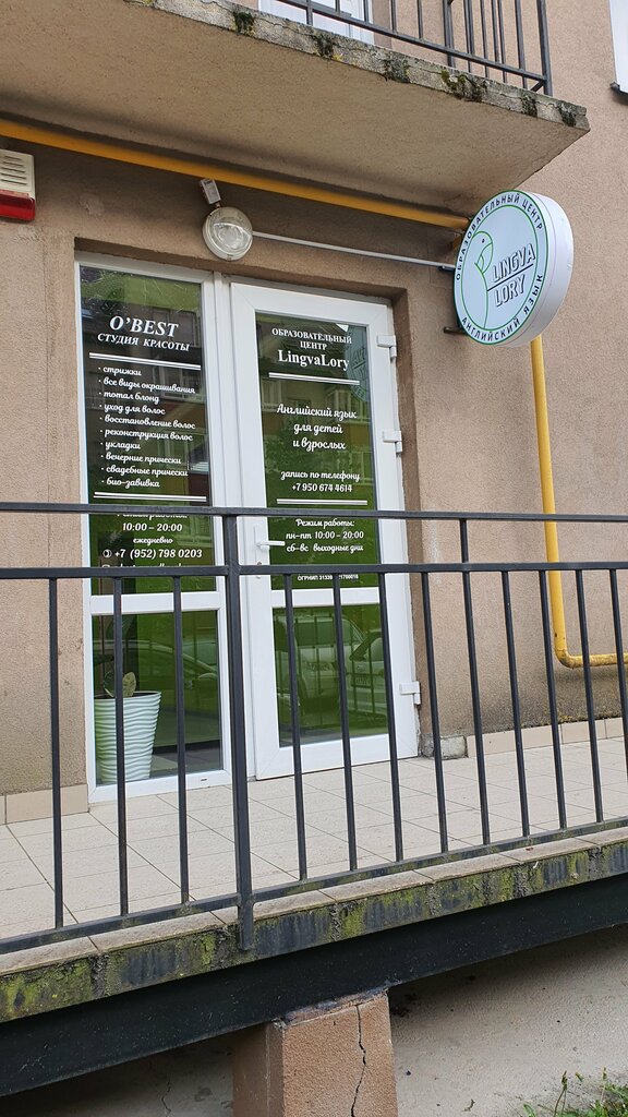 Foreign language courses LingvaLory, Kaliningrad, photo