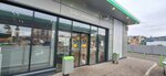 Green Line (Verbnaya Street, 23), cafe