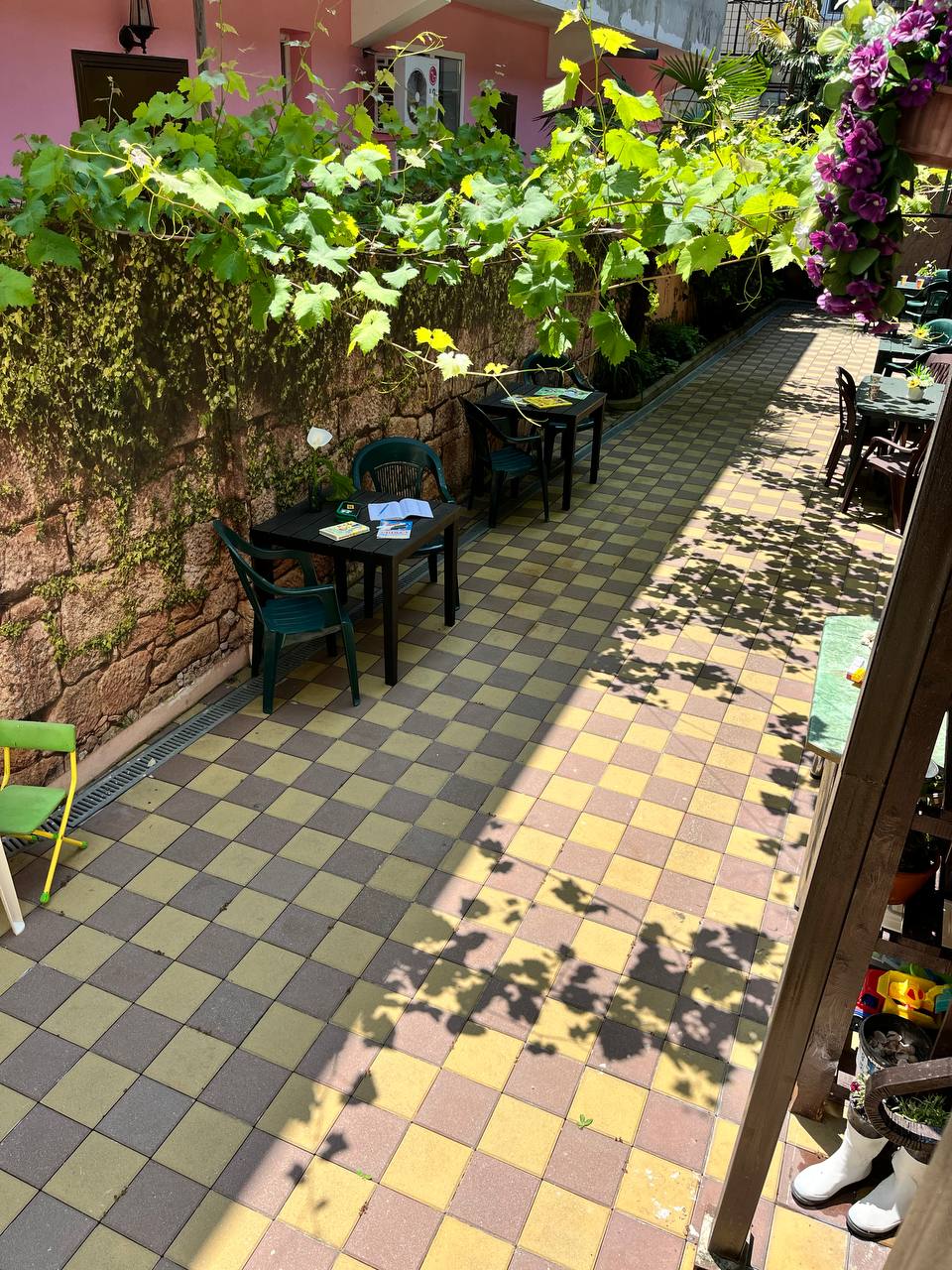 Фото Полина