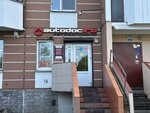 Autodoc.ru (Telmana Street, 49), auto parts and auto goods store