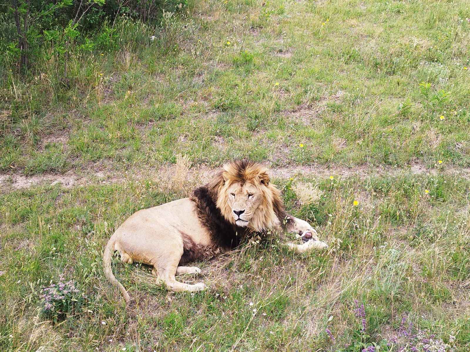 Фото Никос плаза