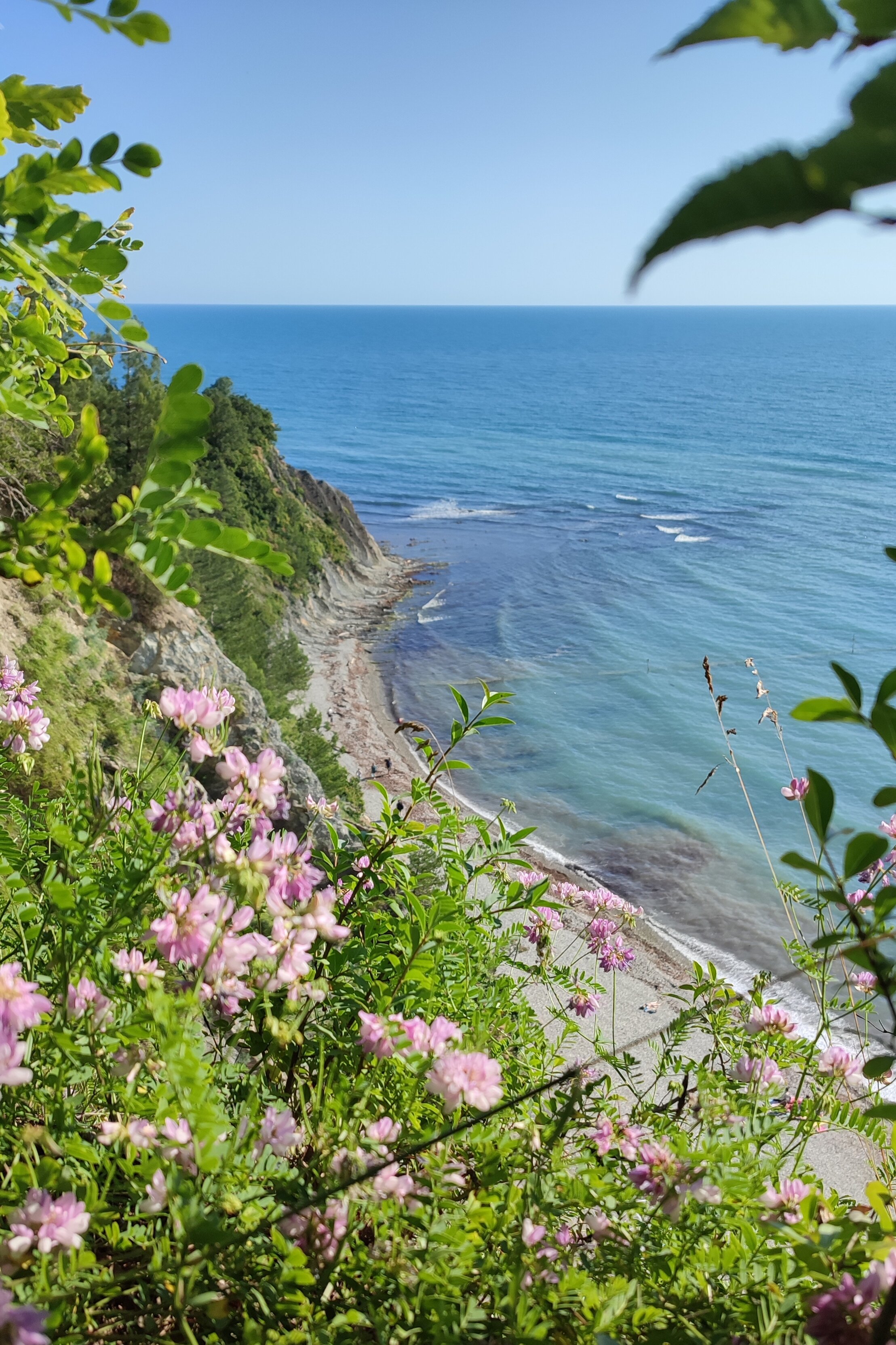 Фото Alean Select Olginka