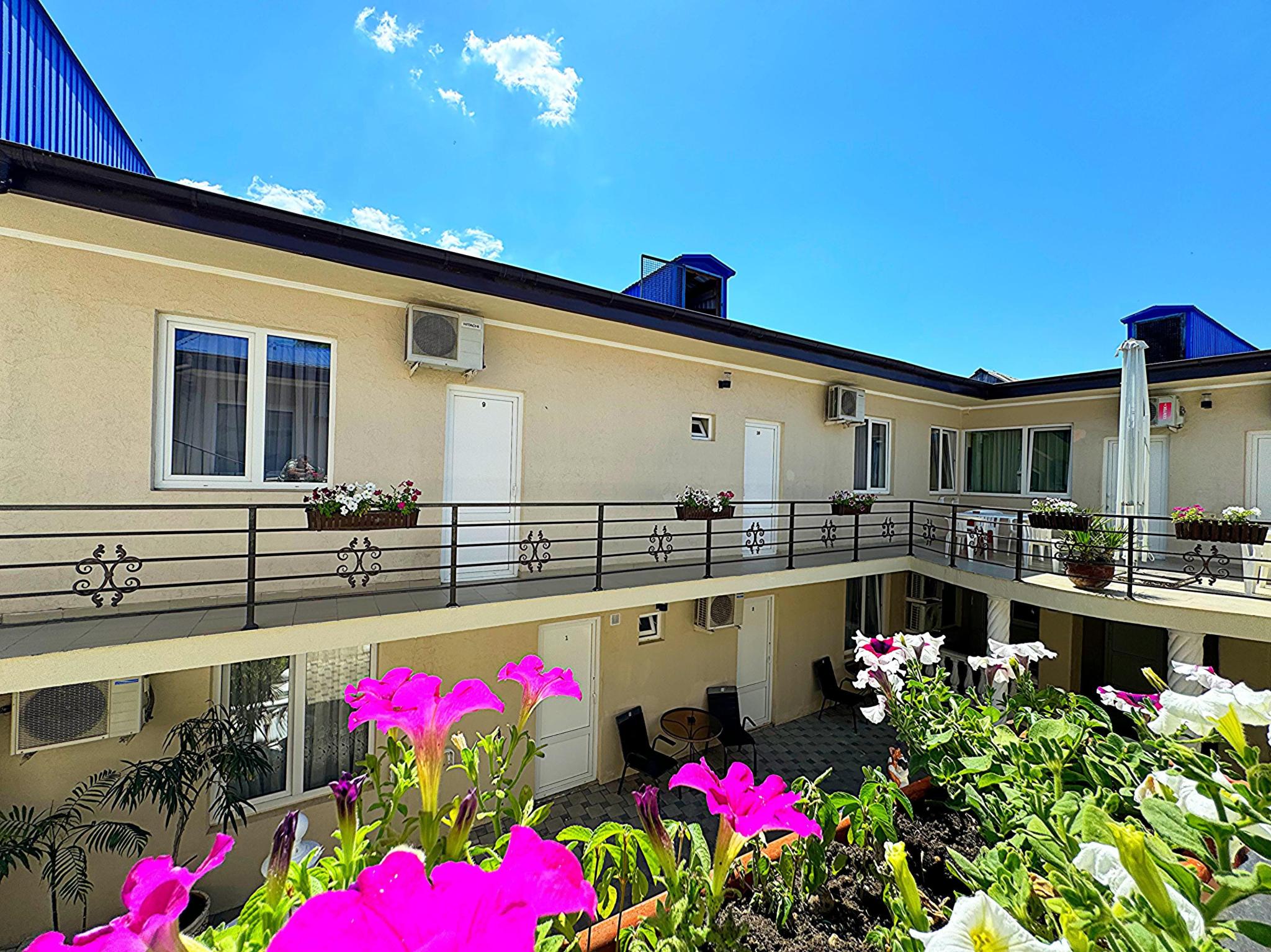 Фото Вистерия