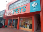 Clinica De Mascotas (Bogotá, Calle 72 Avenue, 20C-70), veterinary clinic