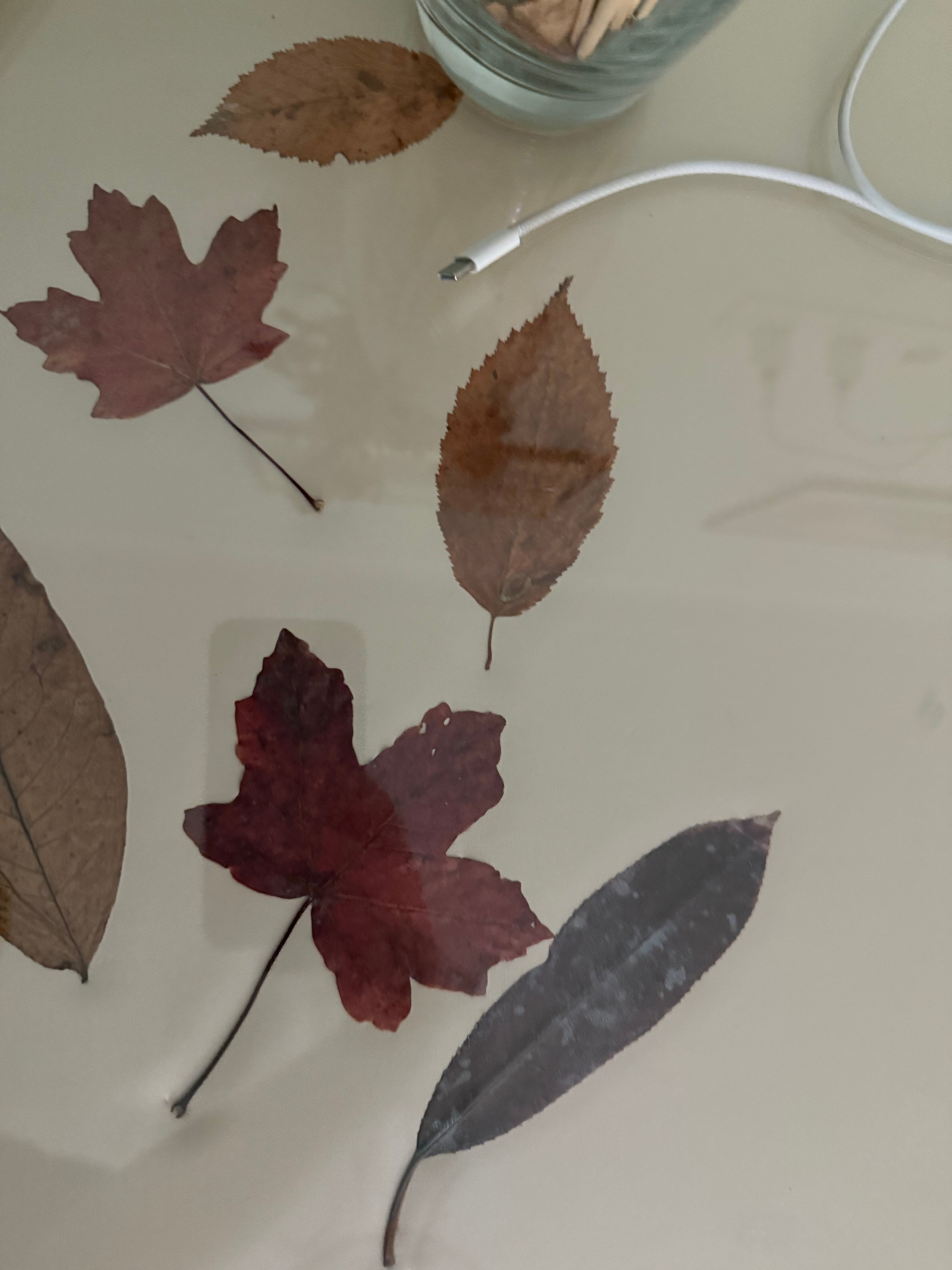 Фото Чайкин Дом