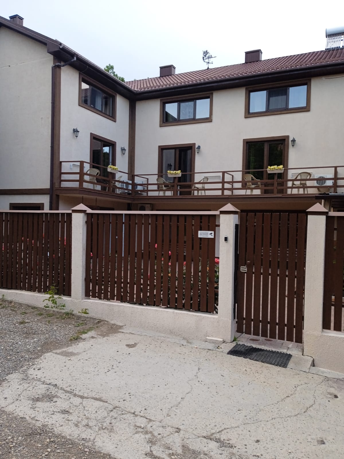 Фото Медовик