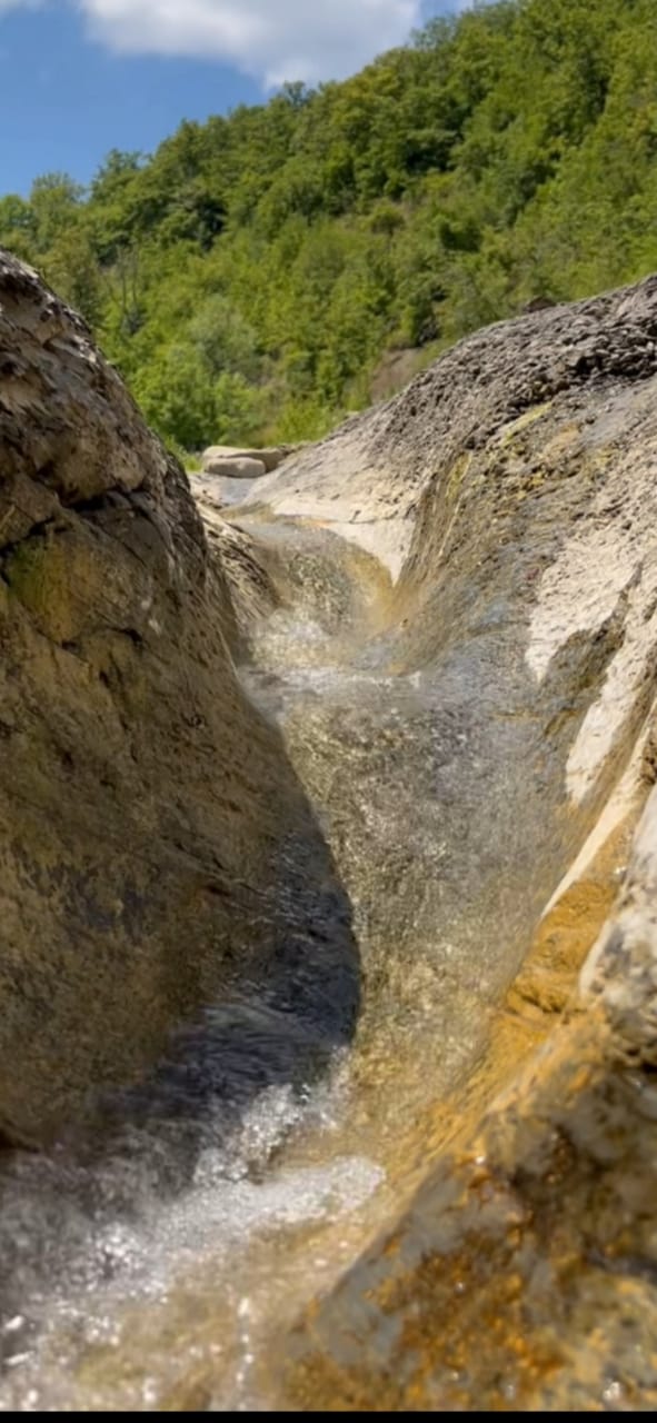 Фото Поляна Убинская