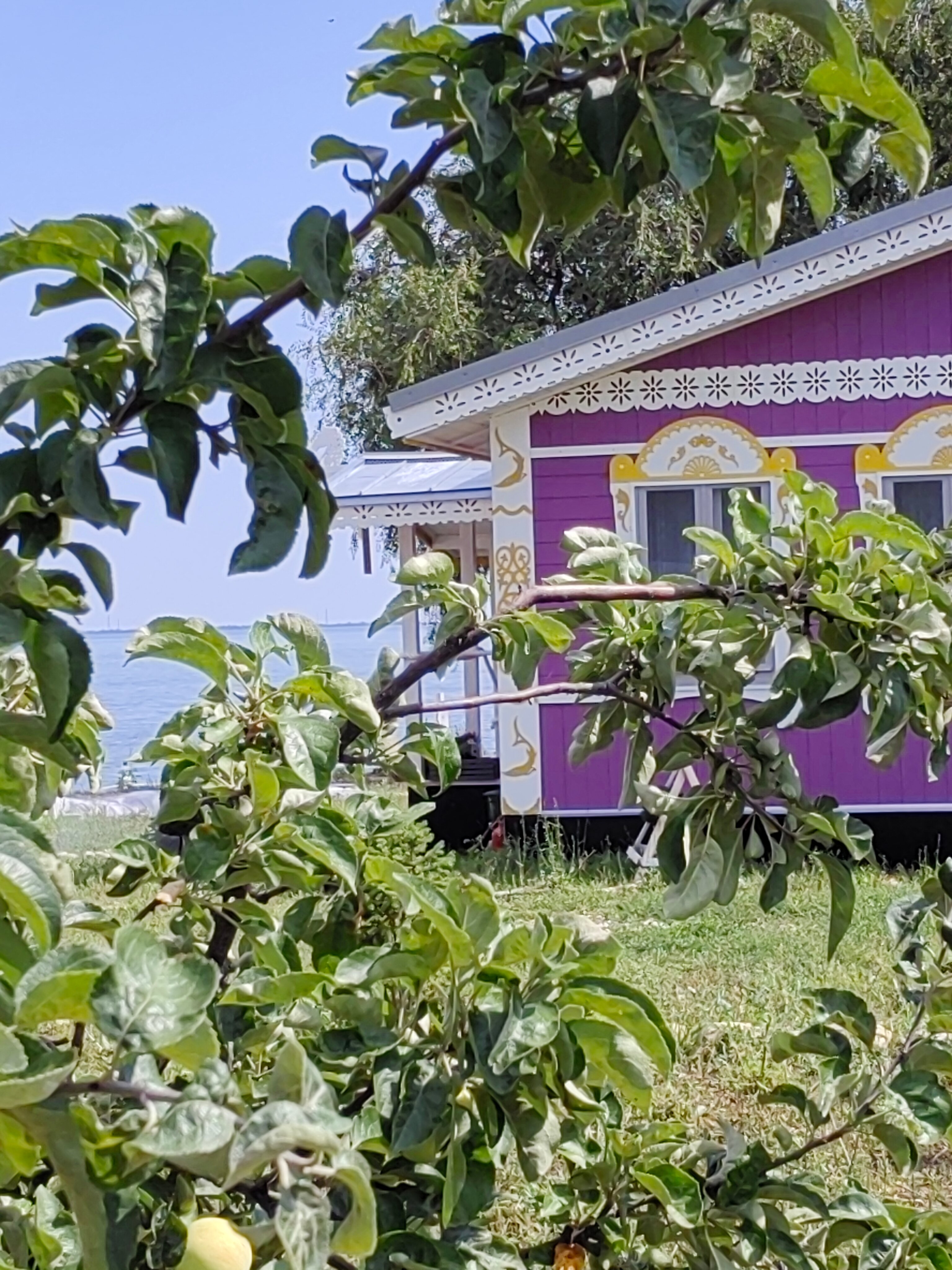 Фото Хвалынская усадьба