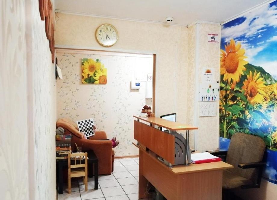 Фото Подсолнух