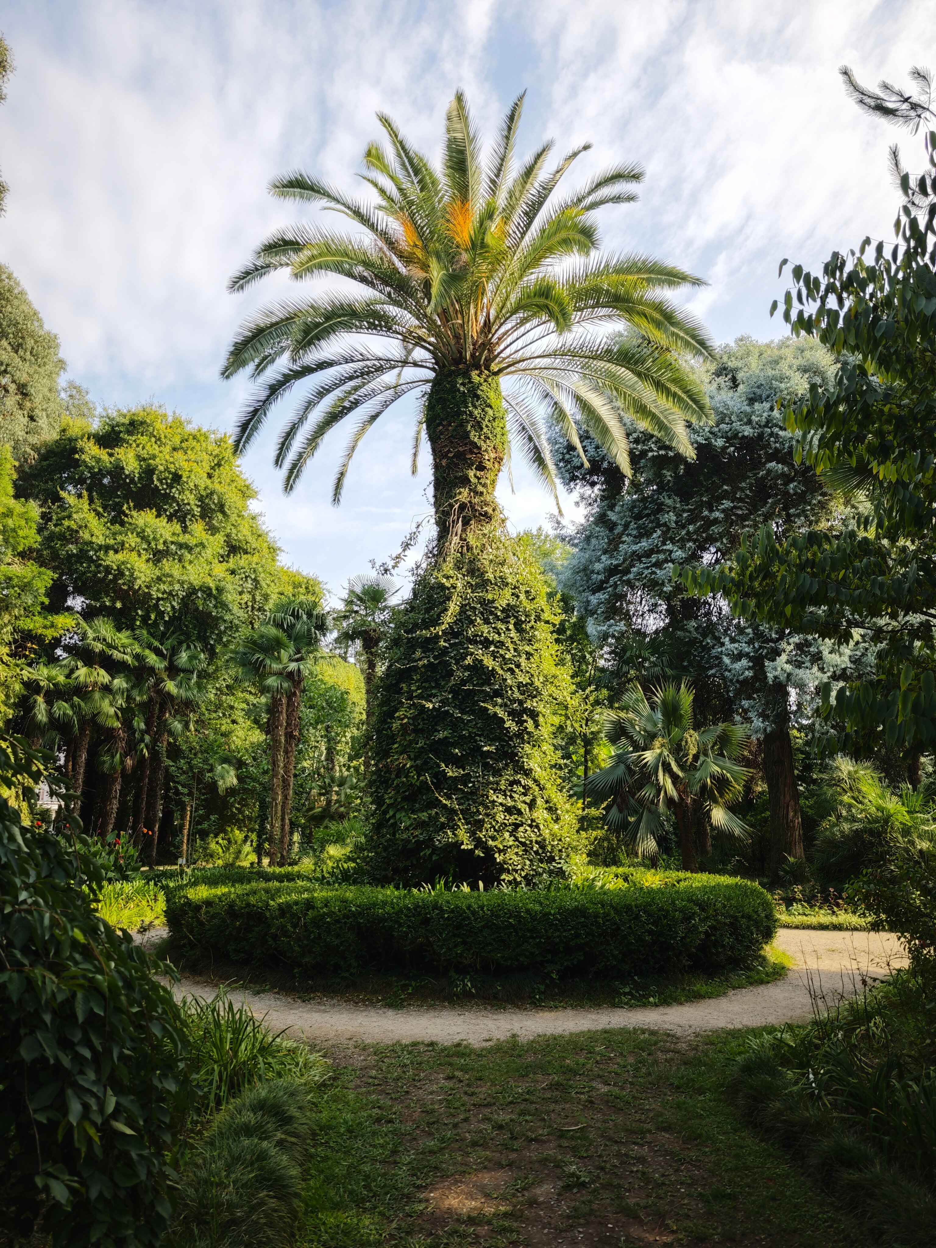 Фото Атмосфера