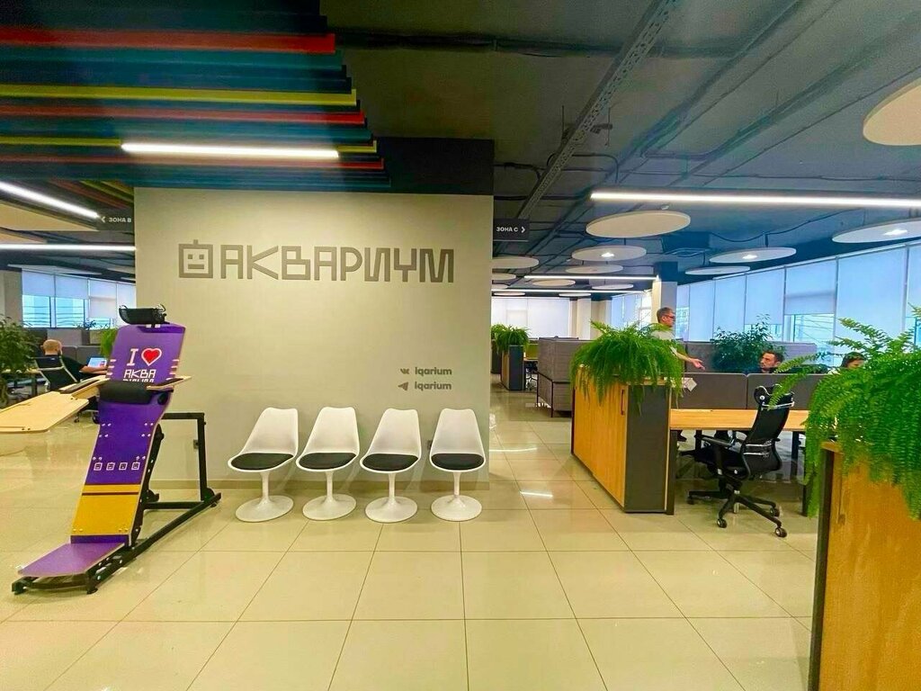 Web design studio Web designer Ksenia Stepanova, Krasnodar, photo