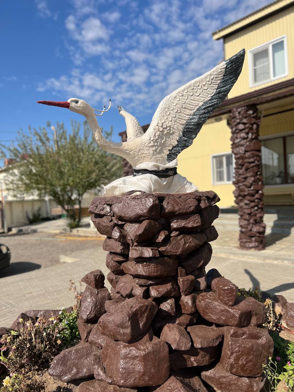 Фото Чапурники