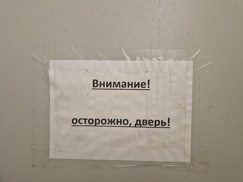 Museum Dunedin Public Art Gallery, Earth, photo