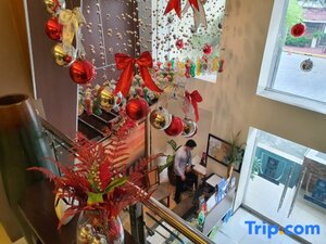 Гостиница Festive Hotel