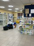 Strong (ulitsa Karla Marksa, 60), household goods and chemicals shop