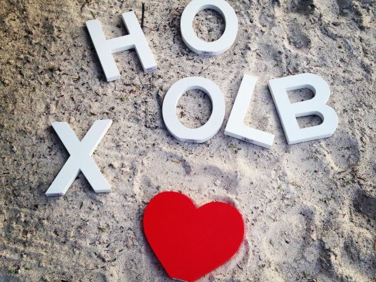 Фото Hotel Villas Flamingos