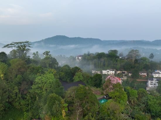 Фото Отель Kings Pavilion