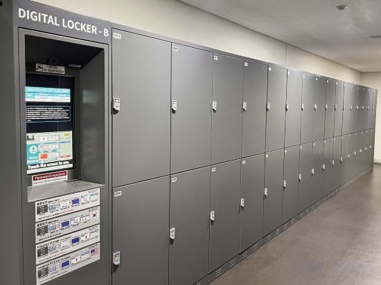 Фото Nine Tree Premier Hotel Myeongdong II